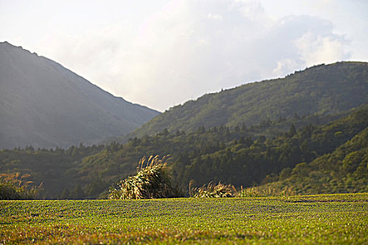 风景