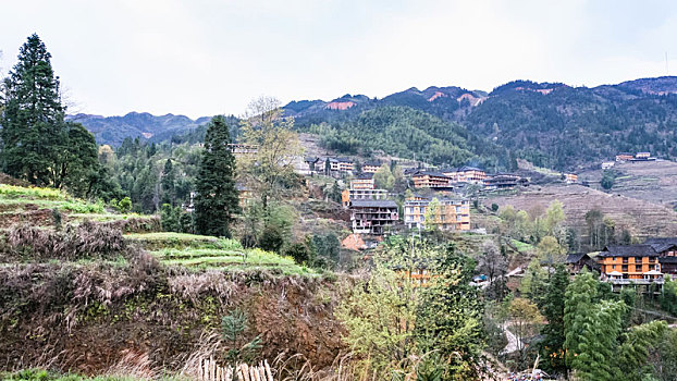 风景,乡村,阶梯状,山