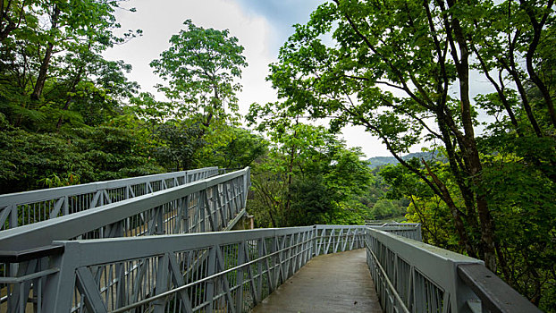 台湾新北市十分寮瀑布公园森林步道