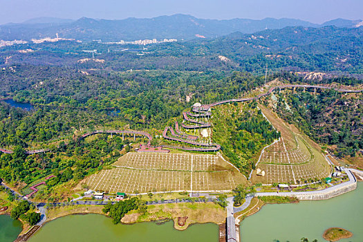 航拍广东珠海香山湖公园香山云道