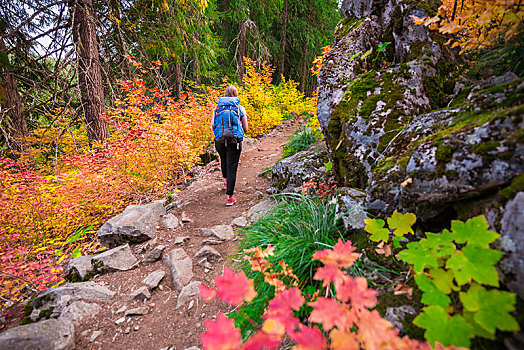 女性,远足,徒步旅行,树林,湖,彩色,秋色,国家公园,俄勒冈,美国,北美