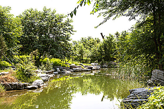 中国古典园林池塘