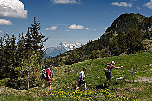 远足,攀登,顶峰,基茨比厄尔,提洛尔,奥地利