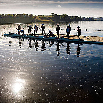 女人,划船,团队,新西兰