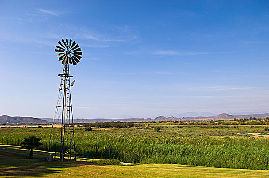 风车,奥茨胡恩,半荒漠,风景,西海角,南非,非洲