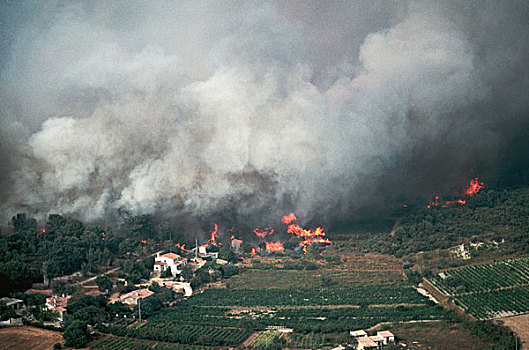 法国,普罗旺斯,俯视,森林火灾,威胁,房子