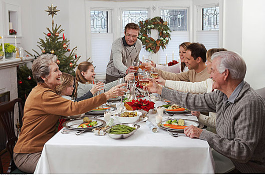 家庭,祝酒,圣诞节