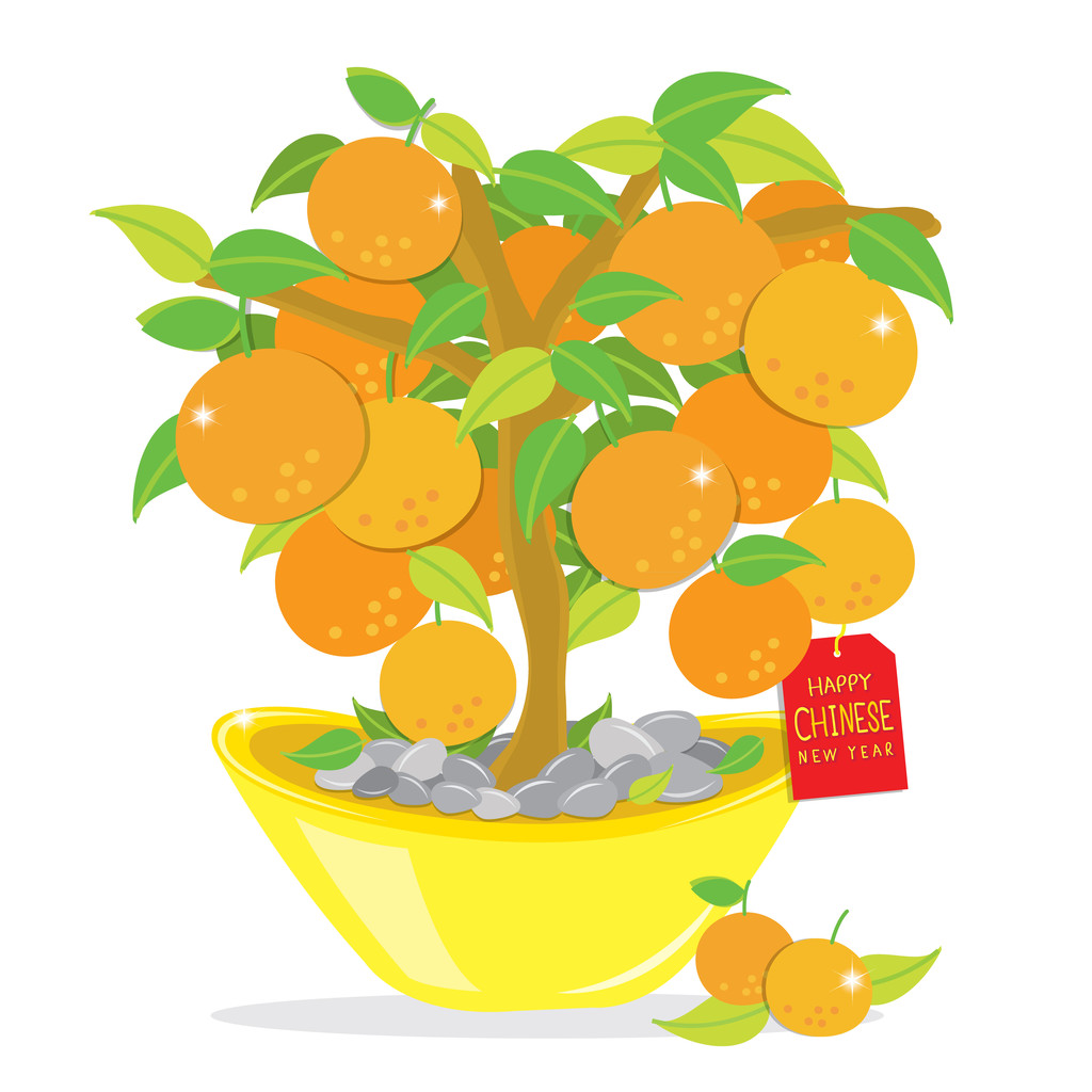 橘树卡通图片