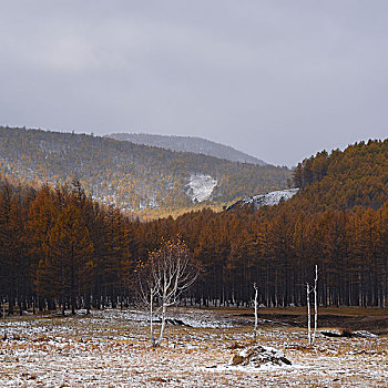 阿尔山雪景