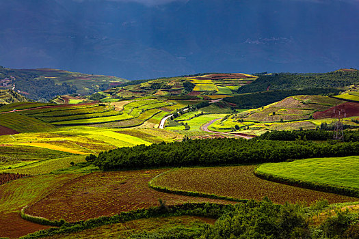 东川红土地的光,景,人