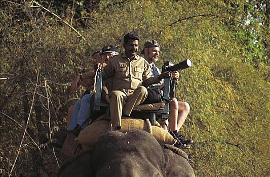 旅游,摄影师,相机,训练,大象,亚洲象,象属,班德哈维夫国家公园,中央邦,印度,亚洲