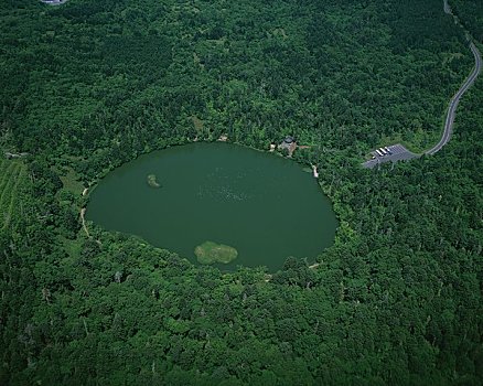 湿地,空中