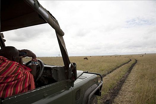 马萨伊,男人,靠着,方向盘,越野,交通工具,马赛马拉国家保护区,肯尼亚