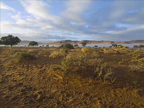 日出,上方,晨雾,纳米布沙漠,靠近,索苏维来地区,纳米比亚,非洲