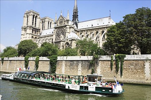 法国,巴黎,塞纳河,巴黎圣母院,大教堂,背景