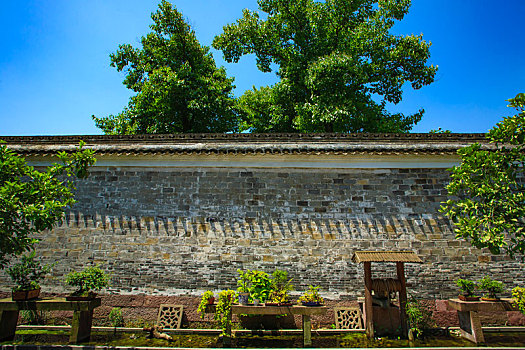 内景,院子,木结构