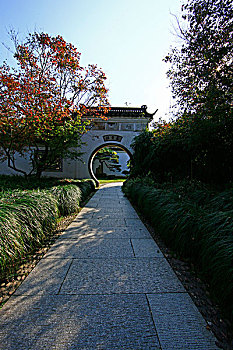 杭州花圃掇景园盆景园