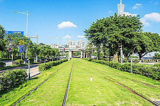 鐵路,樹,格陵蘭