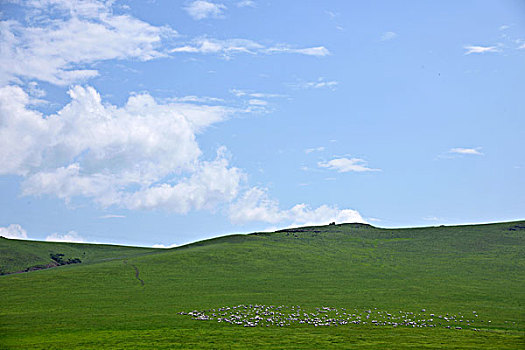 内蒙古科尔沁右翼前旗草原