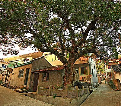 镇海,横溪村,古村,山村,阳光,建筑,民居