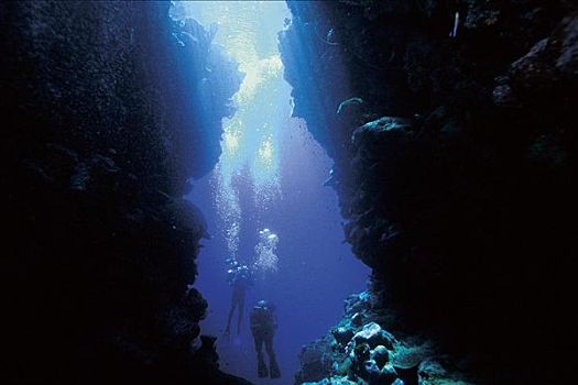 男人,洞穴,水上运动,水下,所罗门群岛,探险,假日