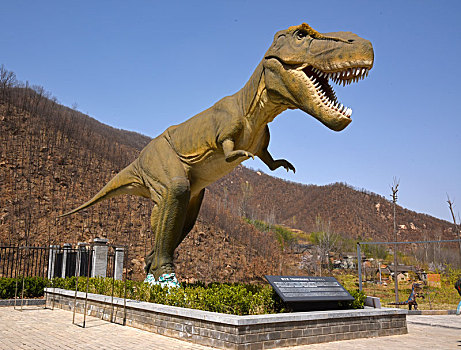 河南洛阳市汝阳县恐龙国家地质公园
