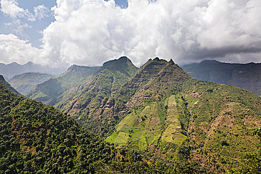 风景,山,国家公园,埃塞俄比亚