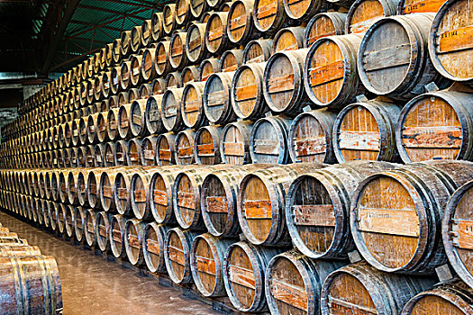 葡萄酒桶,葡萄酒厂,半岛,葡萄牙,欧洲