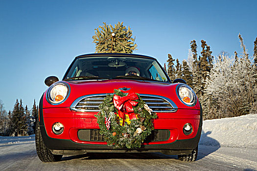 迷你库伯,跑车,圣诞树,上面,乡村道路,楚加奇山,阿拉斯加,冬天