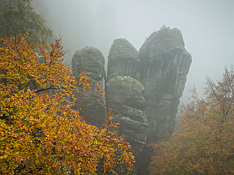 秋天,撒克逊瑞士,砂岩,山,德国