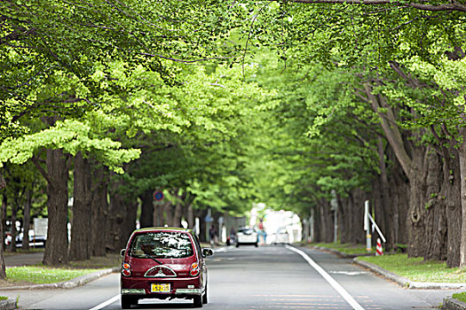 北海道夏季