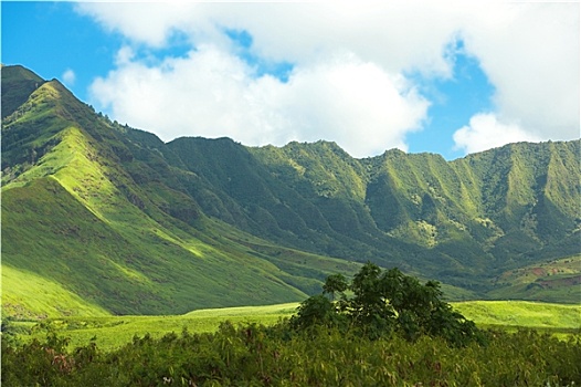 全景图,照片,夏威夷,风景,瓦胡岛