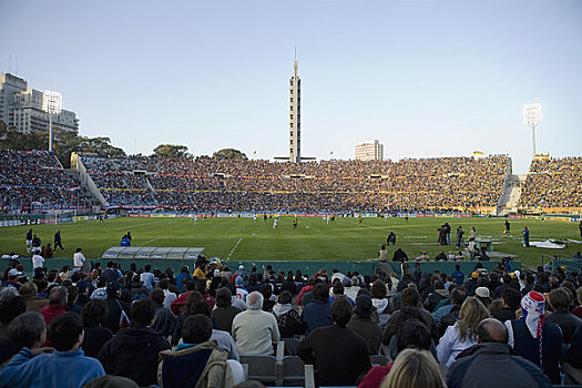 球迷,看,足球比赛,体育场,蒙得维的亚,乌拉圭