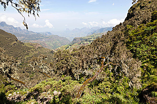 风景,山,国家公园,埃塞俄比亚