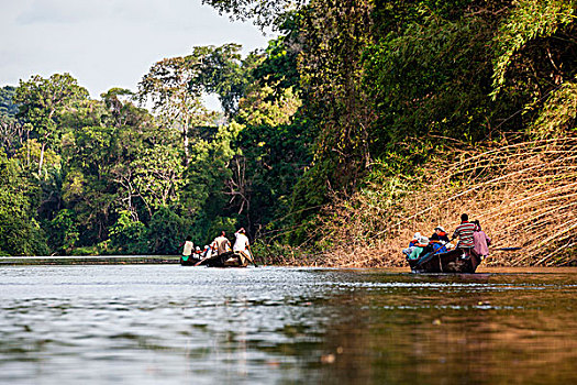 非洲,喀麦隆,旅游,传统,独木舟,船,河
