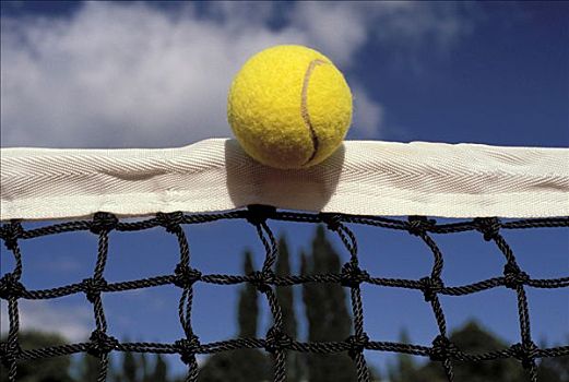 网球,悬吊,球网