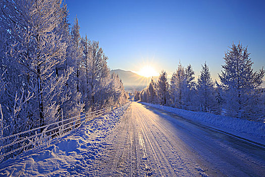 日出,雪,道路