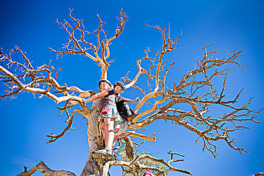 女孩,攀登,枯木,约书亚树国家公园,加利福尼亚,美国