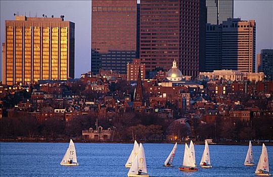 波士顿,天际线,日落,游艇,查尔斯河