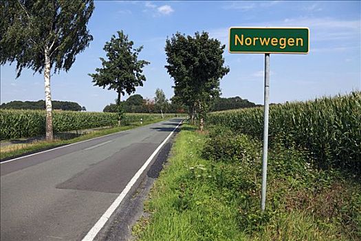 城镇,标识,乡间小路,挪威,德国