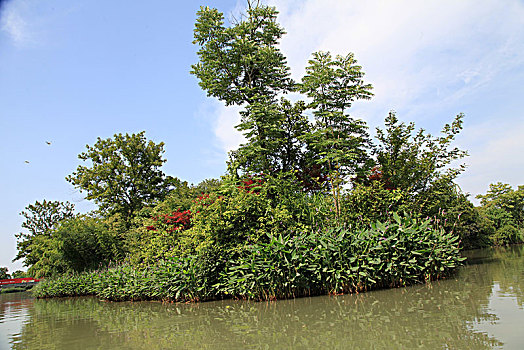 浙江西溪湿地公园