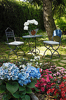 休息区,夏天,花园,白色,盆栽,八仙花属,桌上,蓝色,花,花坛,前景