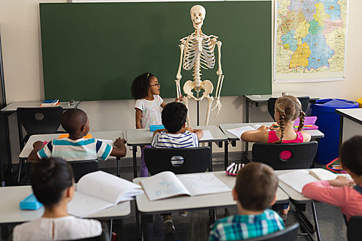 后视图,小,女生,解释,人体骨骼,模型,教室