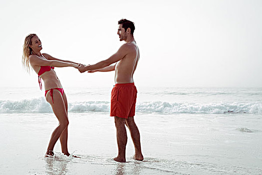 幸福伴侣,握手,海滩