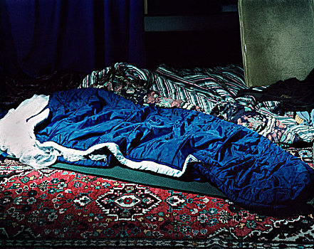 蓝色,人造,睡觉,包,卧,地面,红色,装饰,地毯,布,正面,紫色,帘