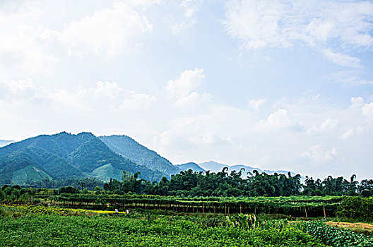 桂林山景秋色