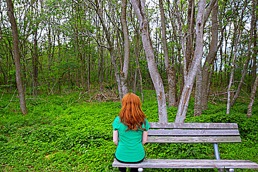 孤单,红发,女人,后视图,看,树林,坐,公园长椅