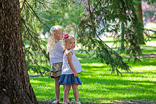 两个,姐妹,一起,公园,艾伯塔省,加拿大