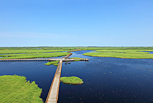 中国最美湿地,千鸟湖湿地