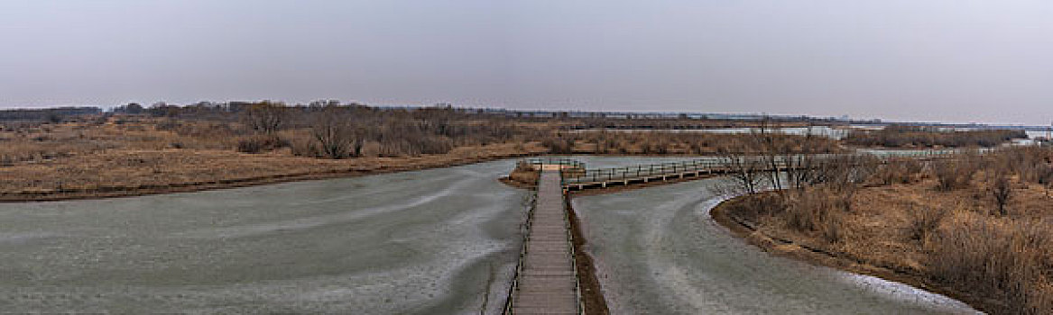 黄河入海口湿地公园